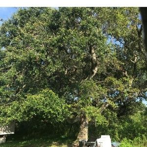 Meet your Posher, Peter